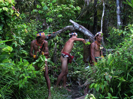 Un chiripok en la tribu mentawai