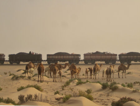 Backbone of the Sahara: documental del tren de Mauritania